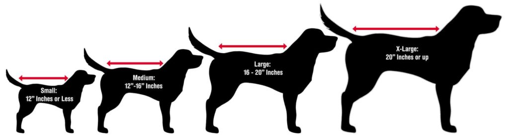 Silhouettes of four dogs show size categories for pet lovers: Small (12" or less), Medium (12"-16"), Large (16"-20"), and X-Large (20" or up) by body length—perfect for choosing mobile pet grooming services.