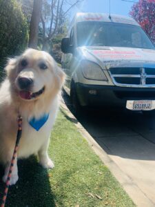 Professional mobile pet groomer bathing happy dog at client home in Hayward